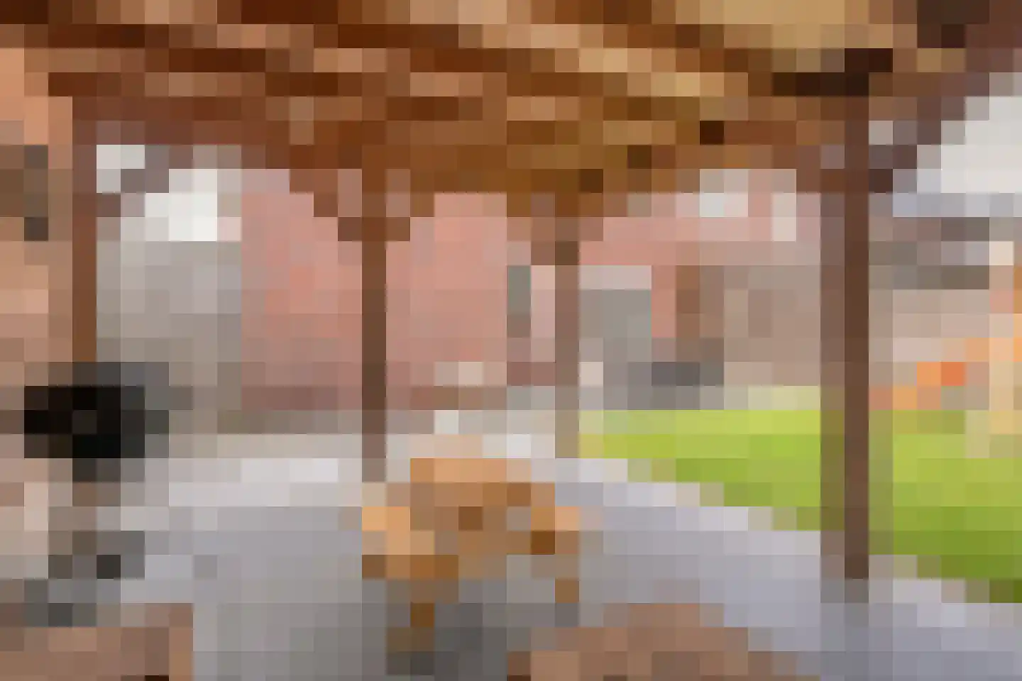 Sterkerijstraat 5 Slagharen thumbnail 51