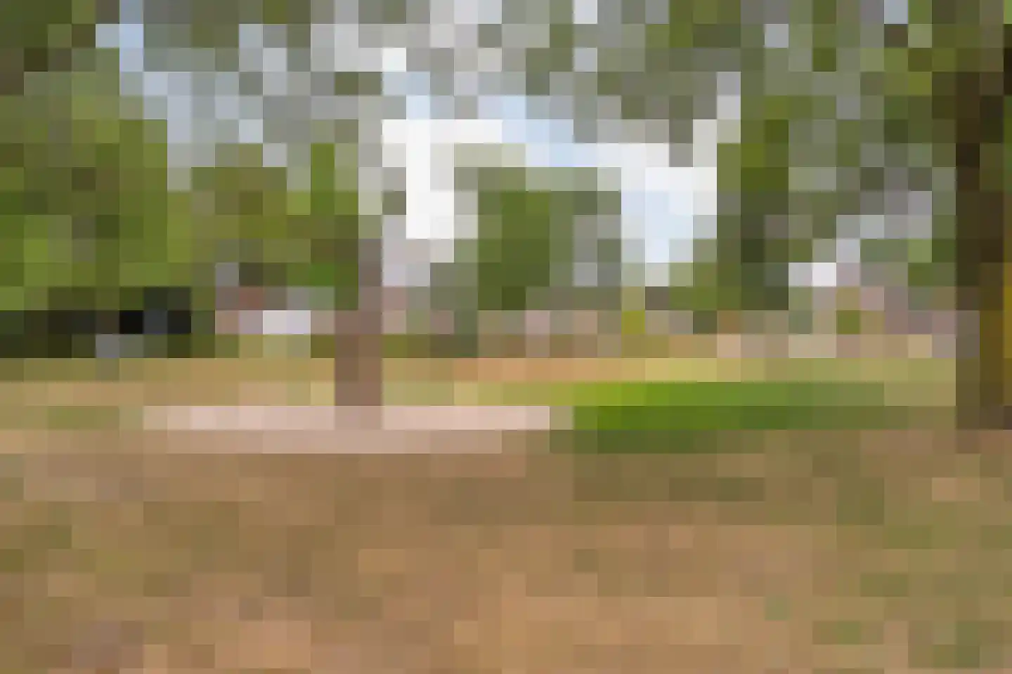Sterkerijstraat 5 Slagharen thumbnail 55