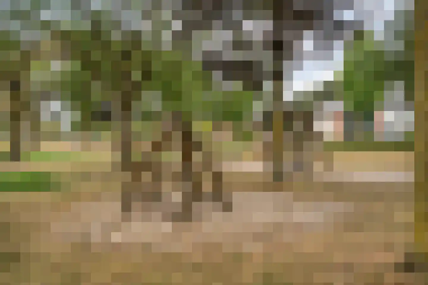 Sterkerijstraat 5 Slagharen thumbnail 56