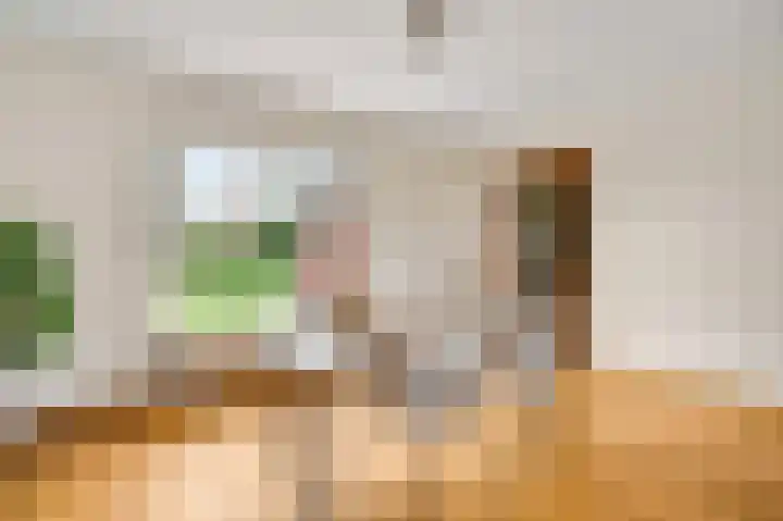 Sterkselseweg 12 Maarheeze thumbnail 17