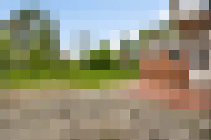 Sterkselseweg 12 Maarheeze thumbnail 37