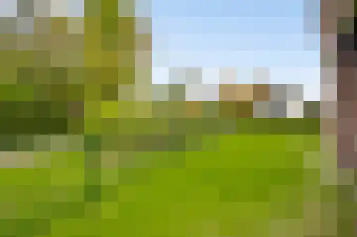 Sterkselseweg 12 Maarheeze thumbnail 38