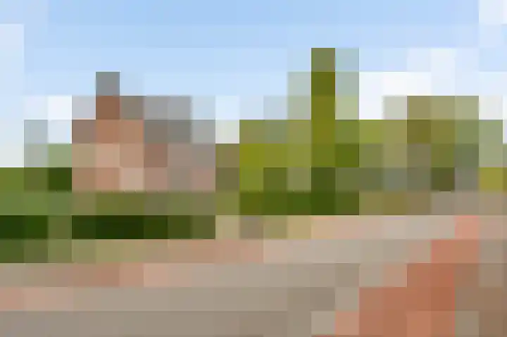Sterkselseweg 12 Maarheeze thumbnail 7