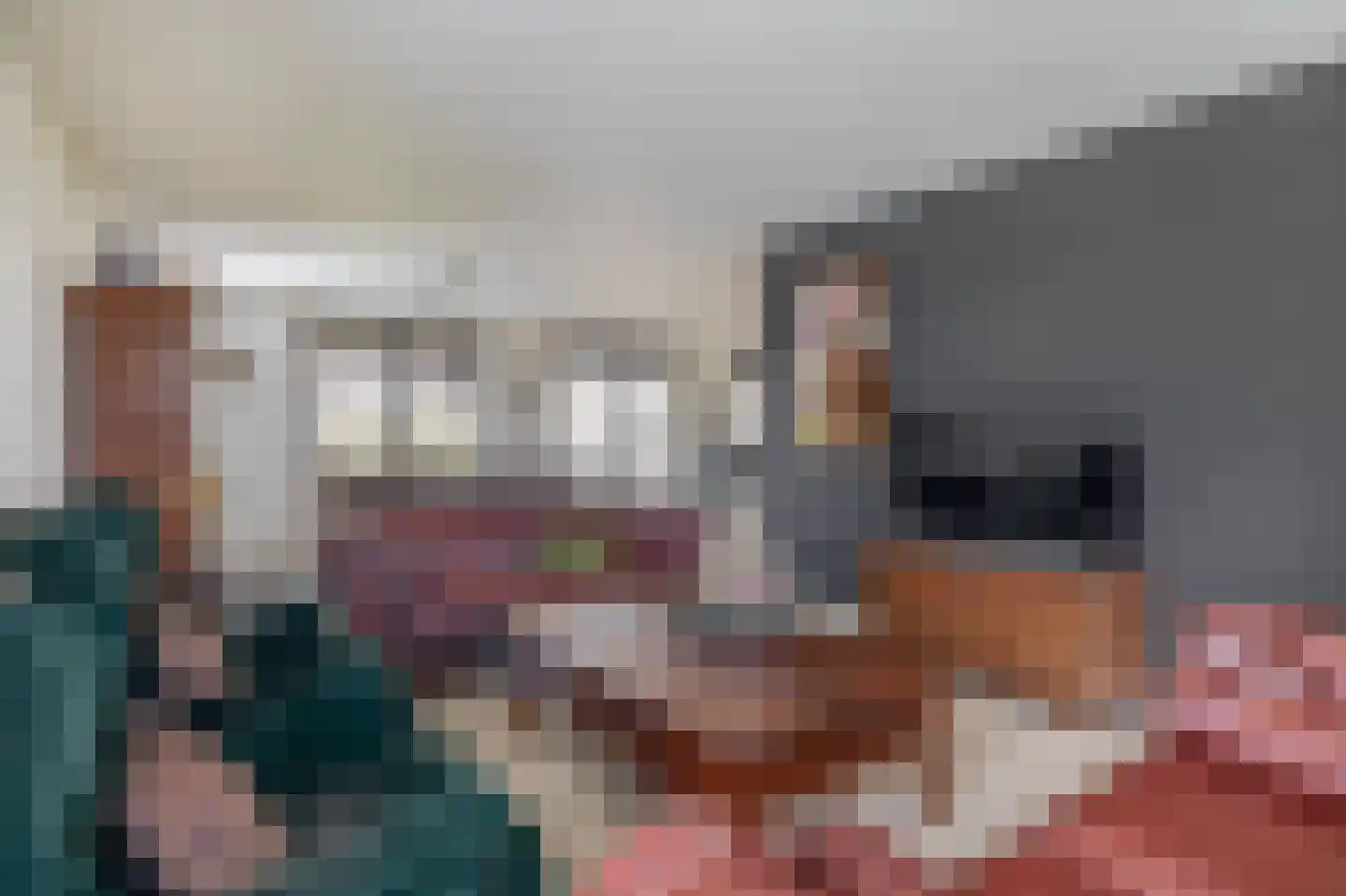 Sterkselseweg 40 Maarheeze thumbnail 4