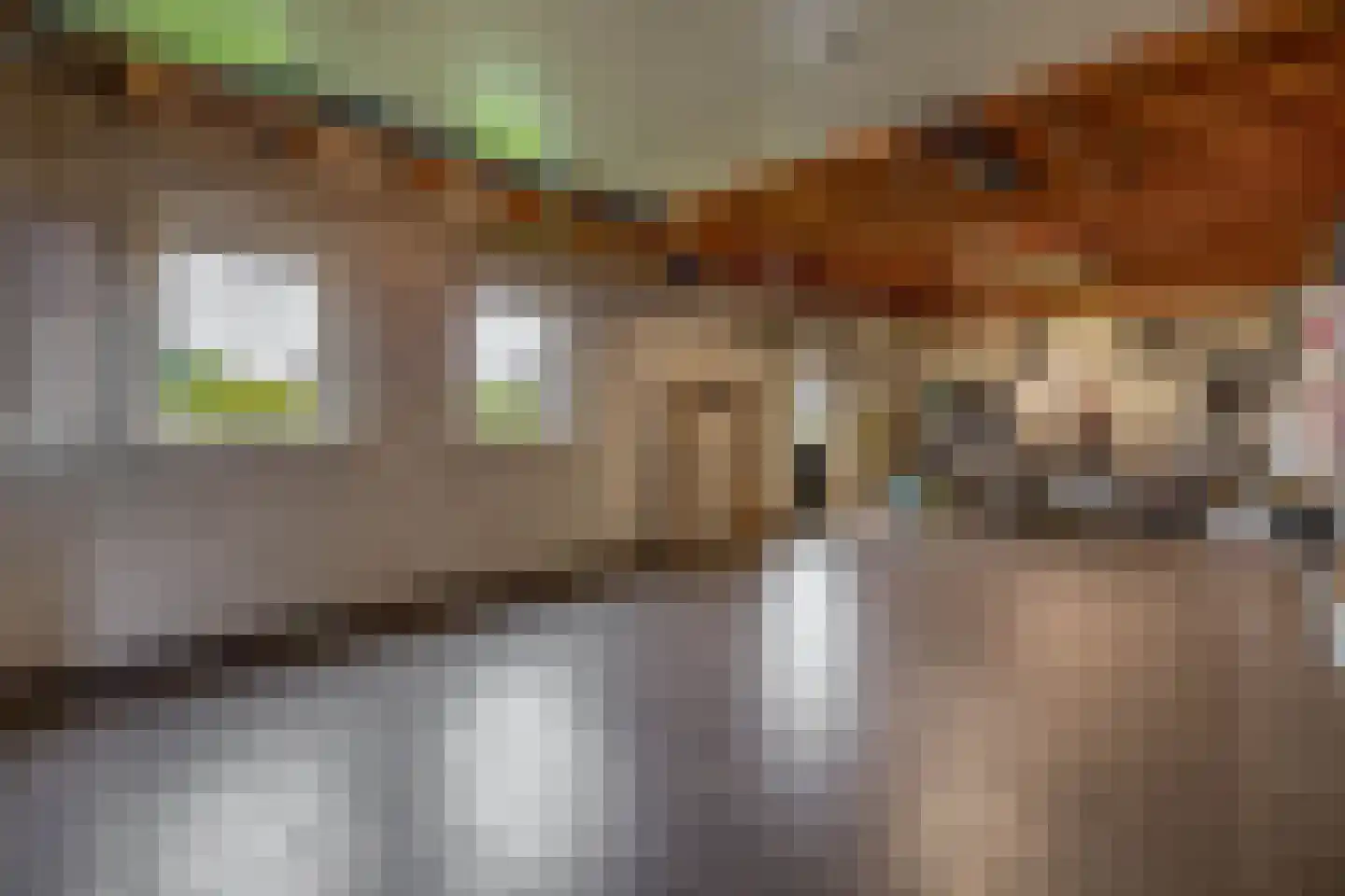 Sterkselseweg 40 Maarheeze thumbnail 44