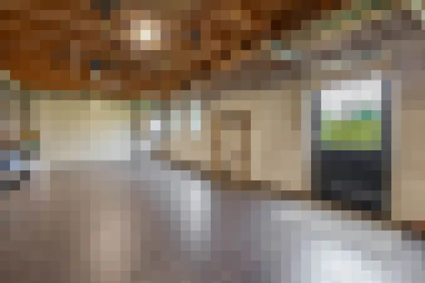 Sterkselseweg 40 Maarheeze thumbnail 45