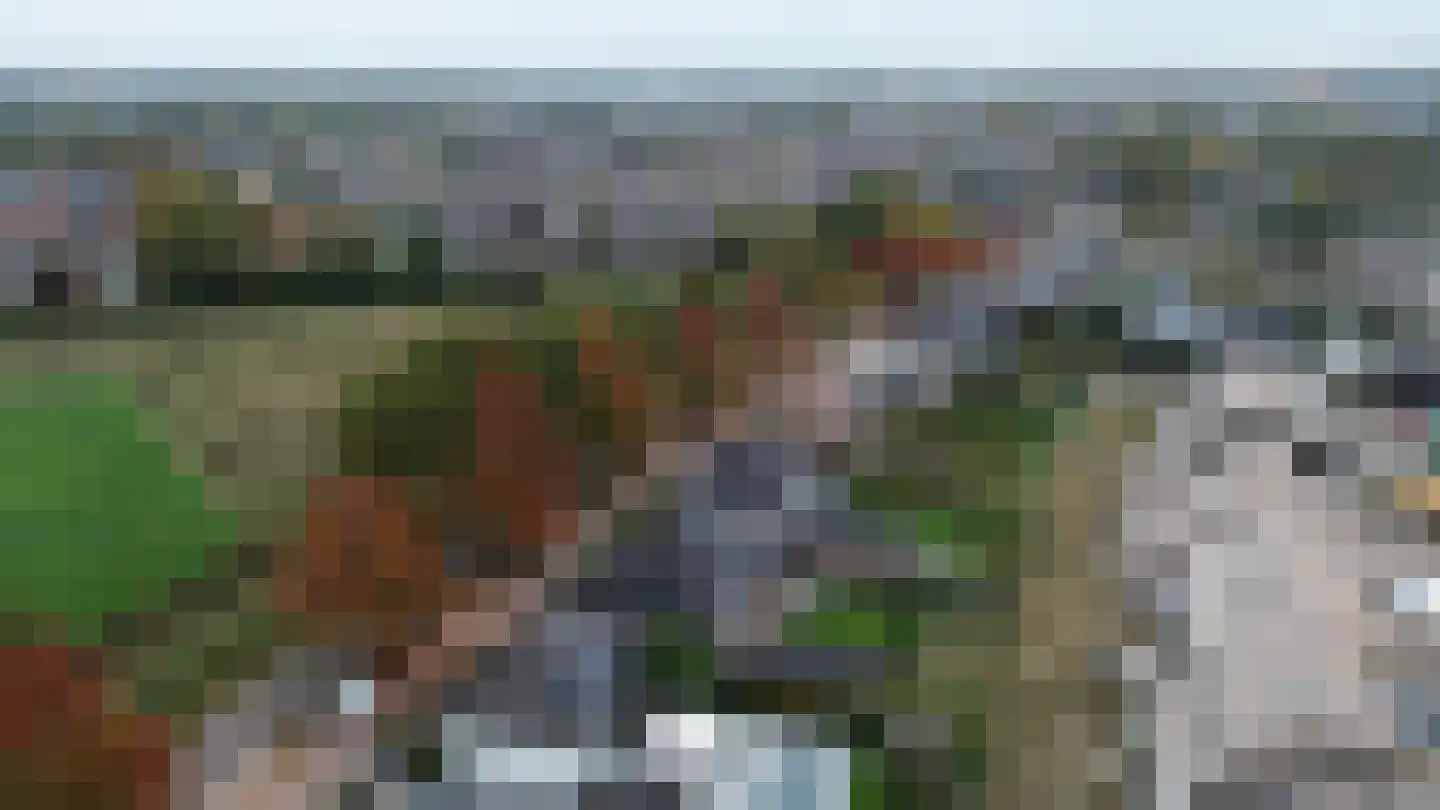 Sterkselseweg 40 Maarheeze thumbnail 55