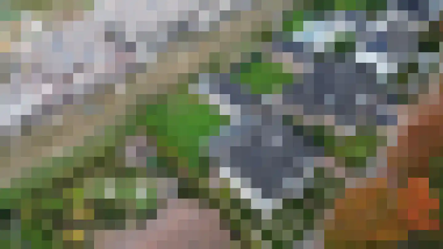 Sterkselseweg 40 Maarheeze thumbnail 58