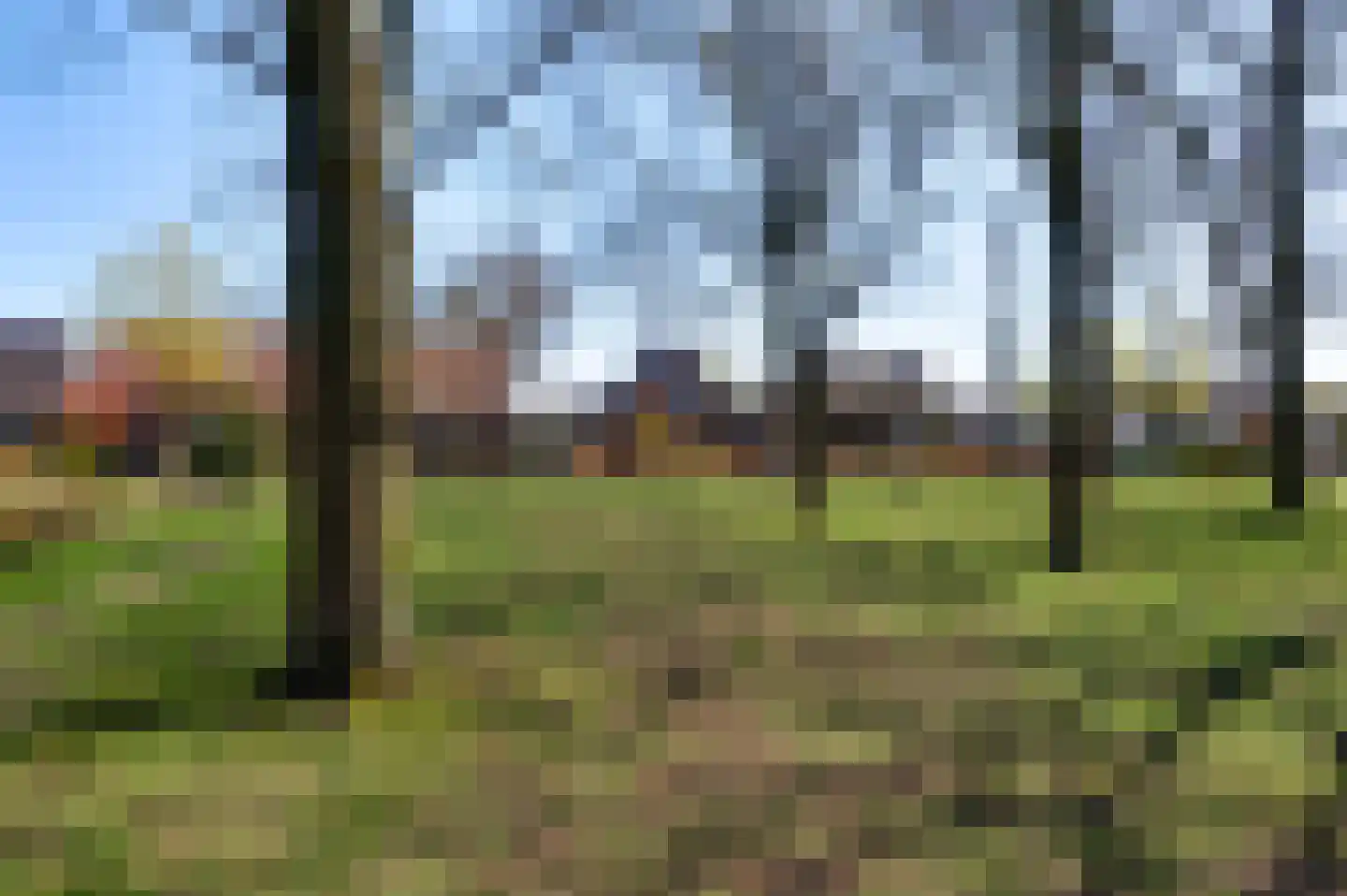 Sterkselseweg 7 b Maarheeze thumbnail 6