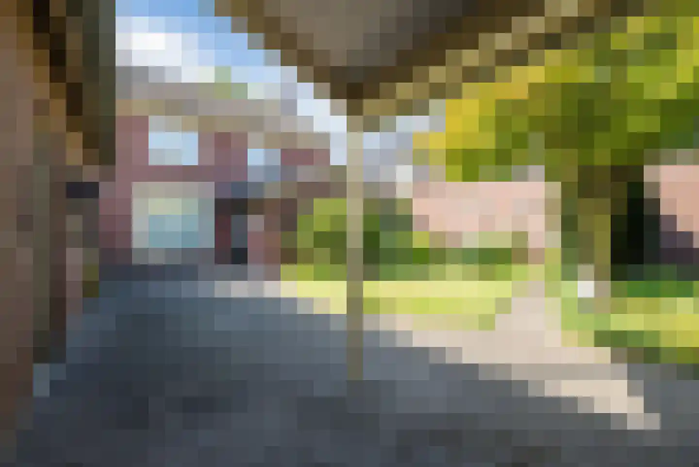 Sterkselseweg 7 Maarheeze thumbnail 38