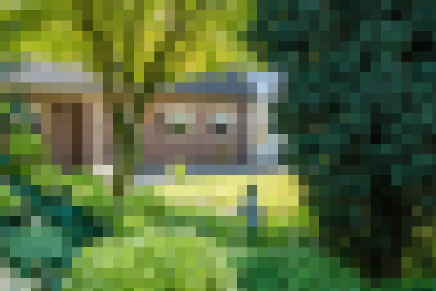 Sterkselseweg 7 Maarheeze thumbnail 39