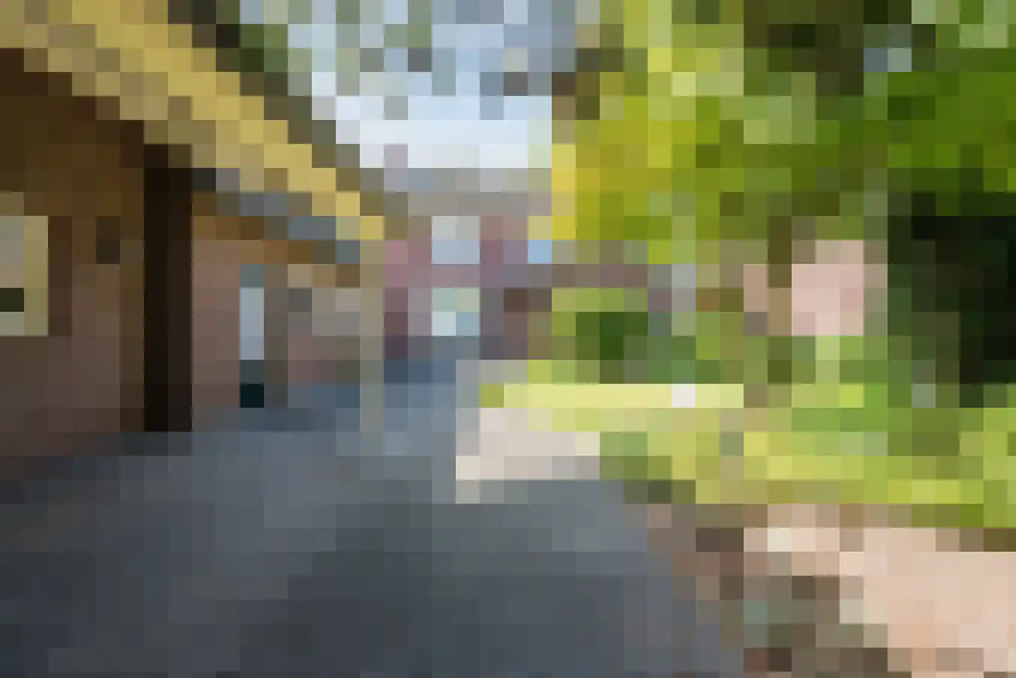 Sterkselseweg 7 Maarheeze thumbnail 4