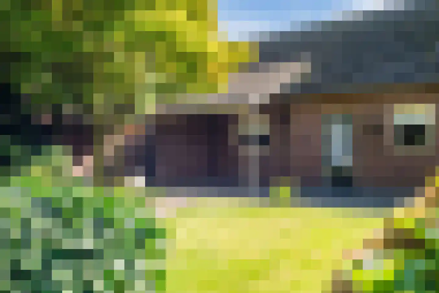 Sterkselseweg 7 Maarheeze thumbnail 40