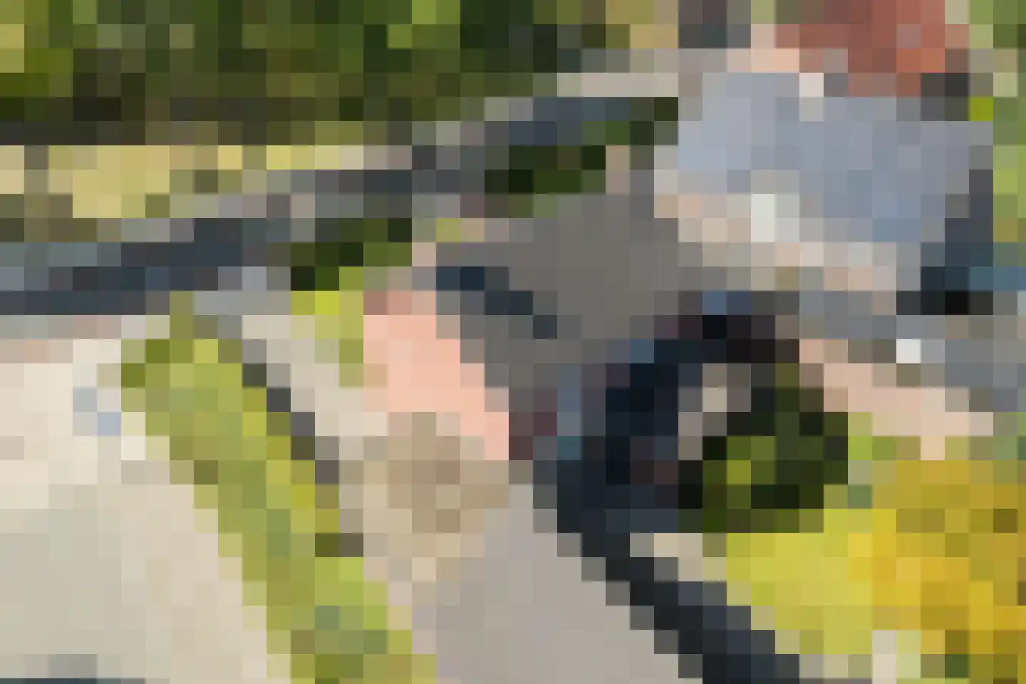 Sterkselseweg 7 Maarheeze thumbnail 47