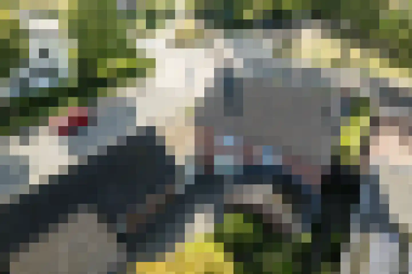 Sterkselseweg 7 Maarheeze thumbnail 48