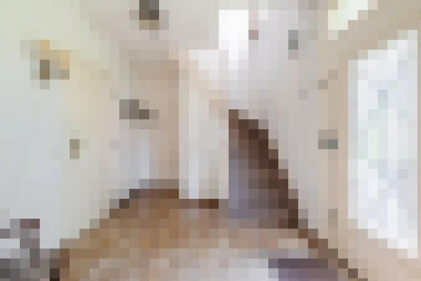 Sterkselseweg 7 Maarheeze thumbnail 9