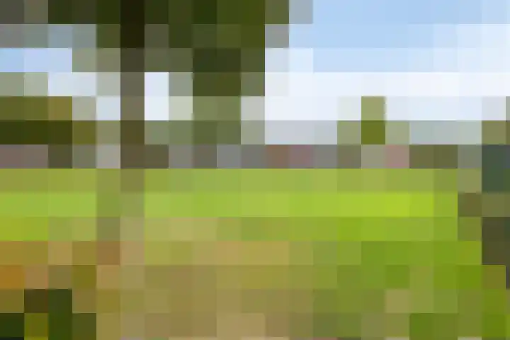 Sterlingruwe 10 Maastricht thumbnail 27