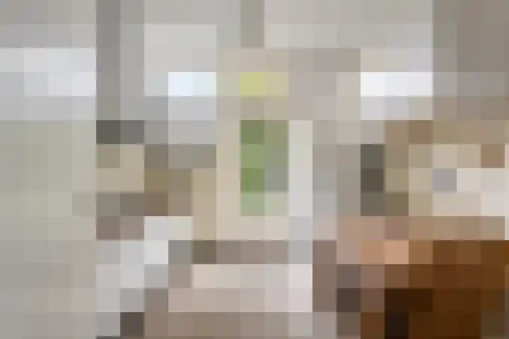 Sterlingruwe 10 Maastricht thumbnail 8