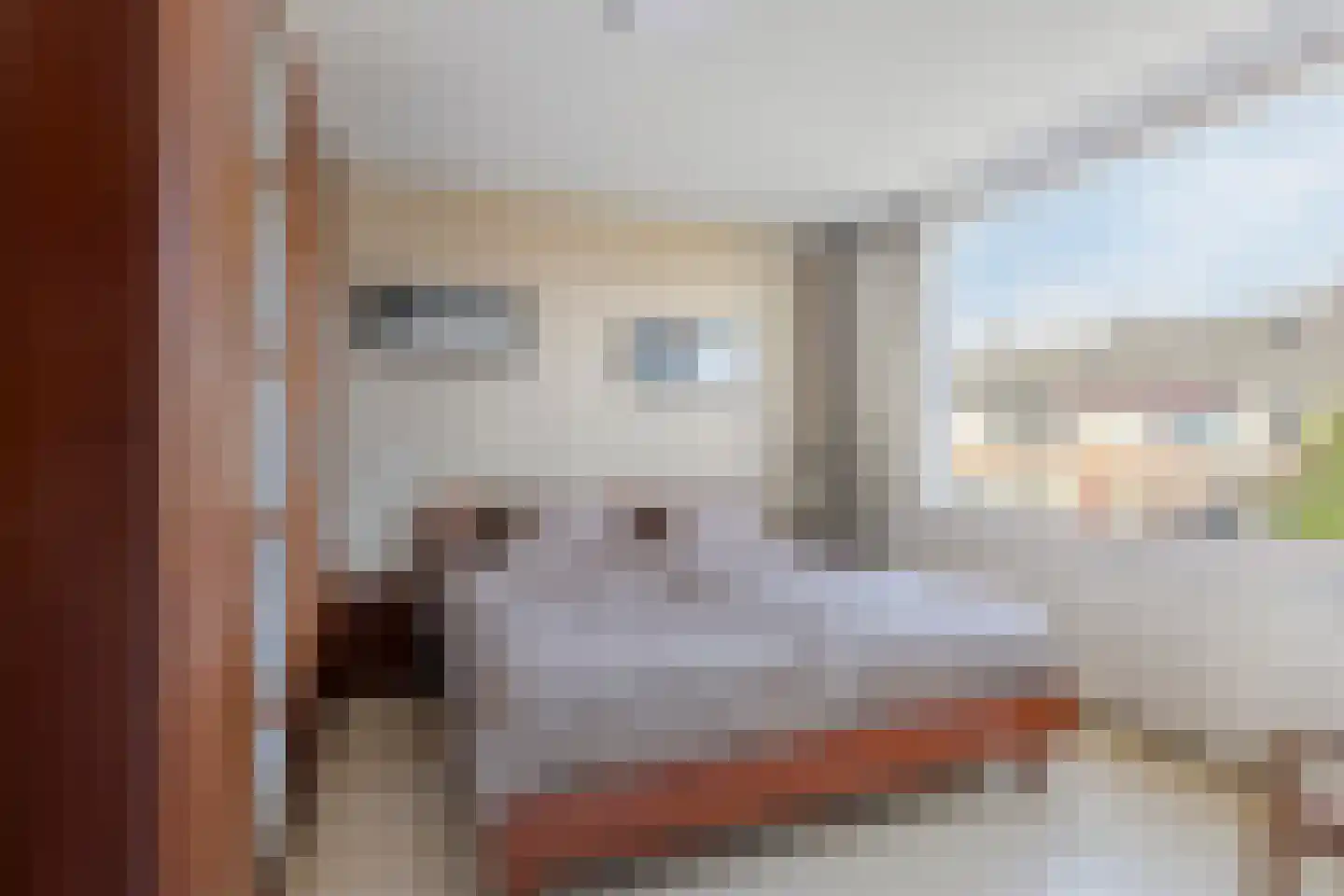 Stermolen 1 Zeeland thumbnail 20