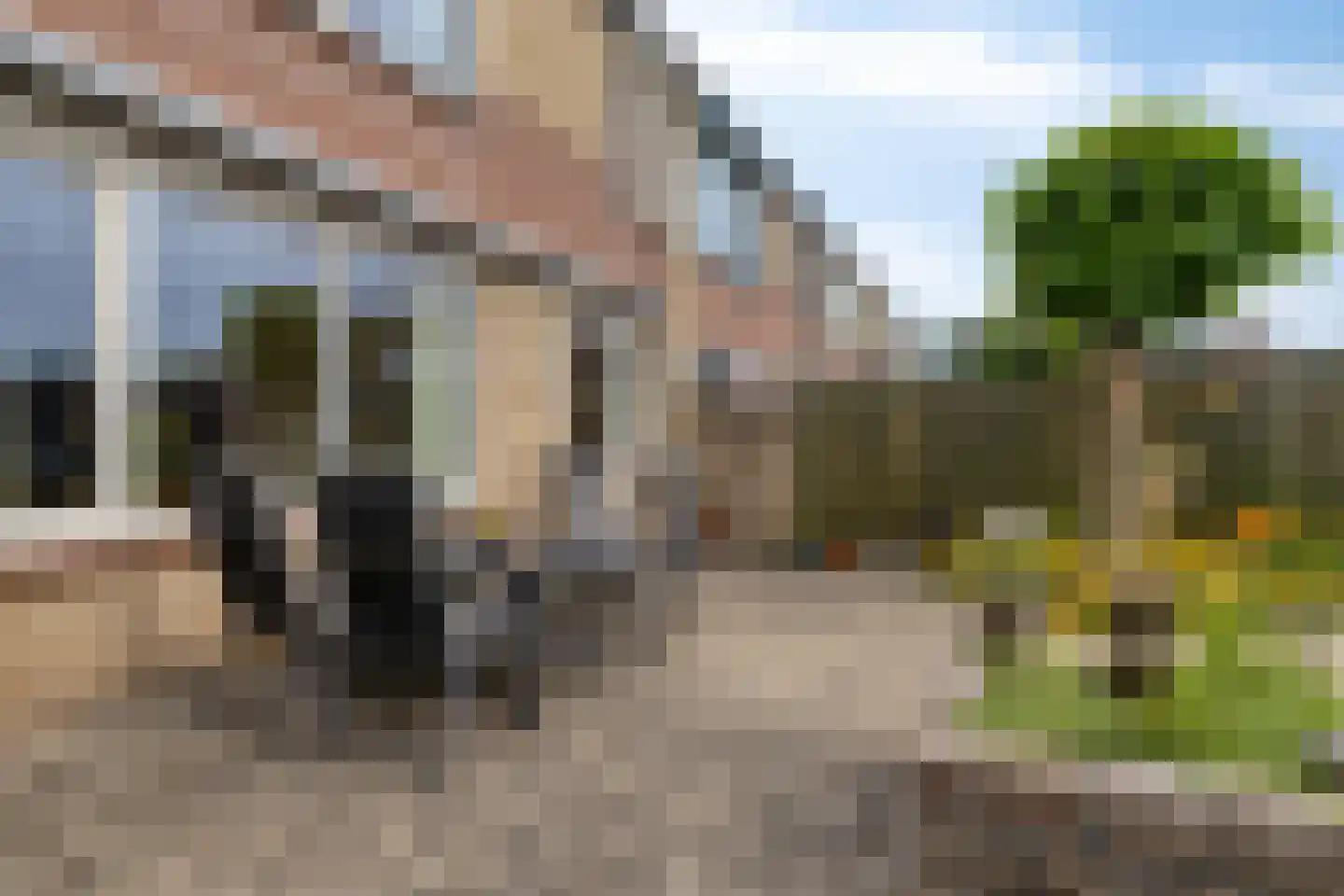 Stermolen 12 Zeeland thumbnail 27