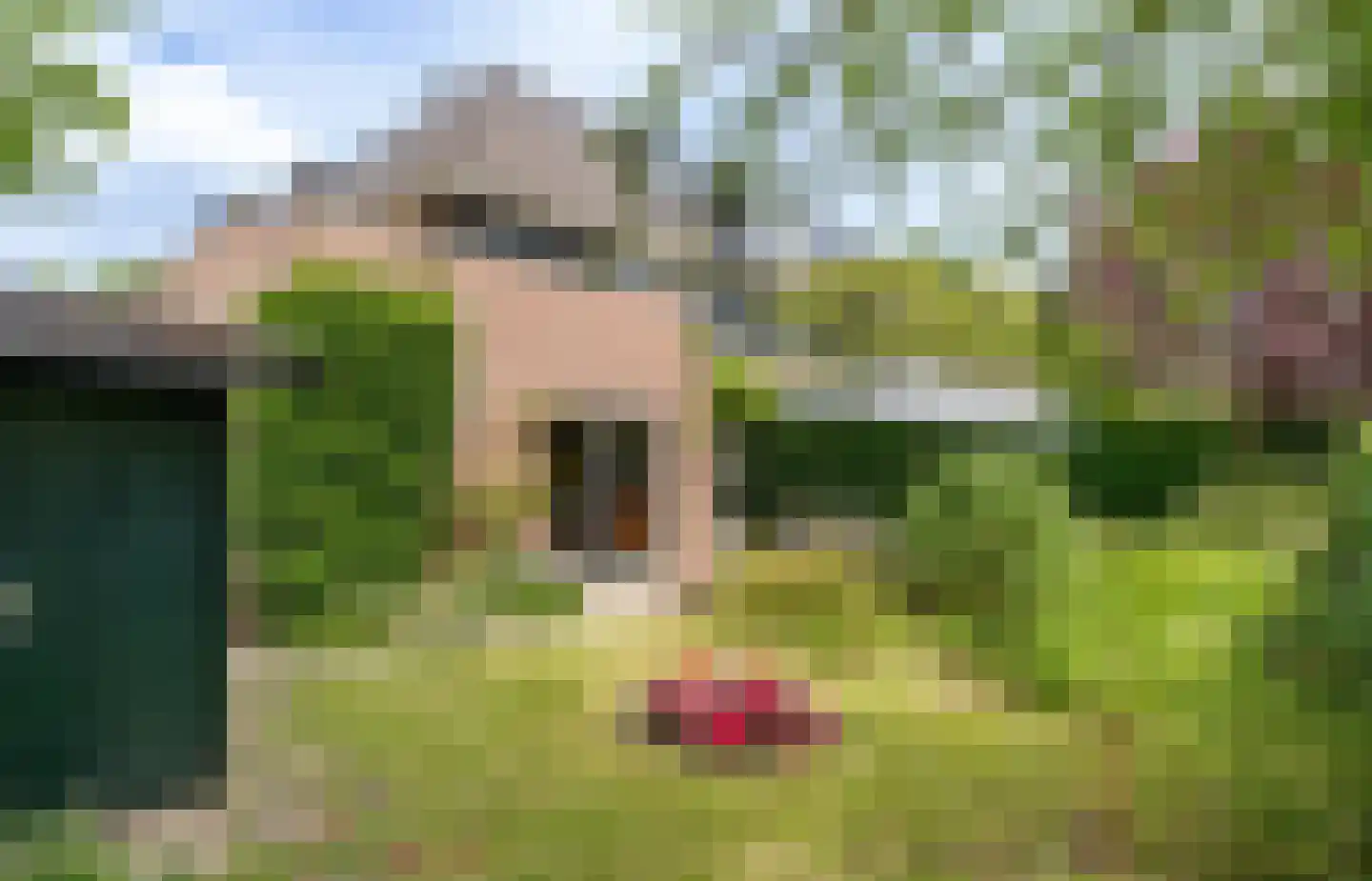 Stern 16 Blaricum thumbnail 21