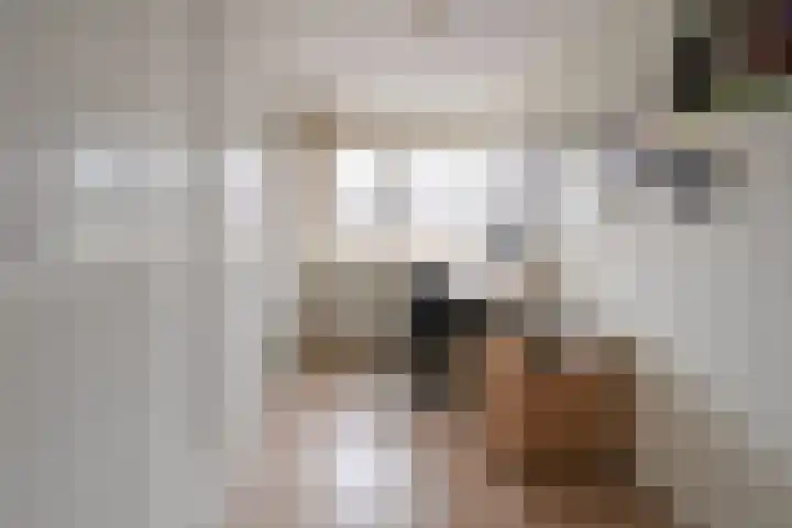 Stern 17 Blaricum thumbnail 12