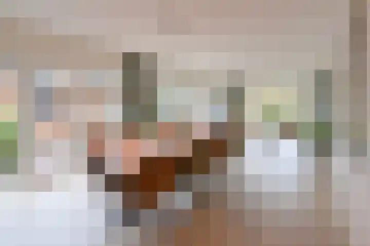 Stern 17 Blaricum thumbnail 7