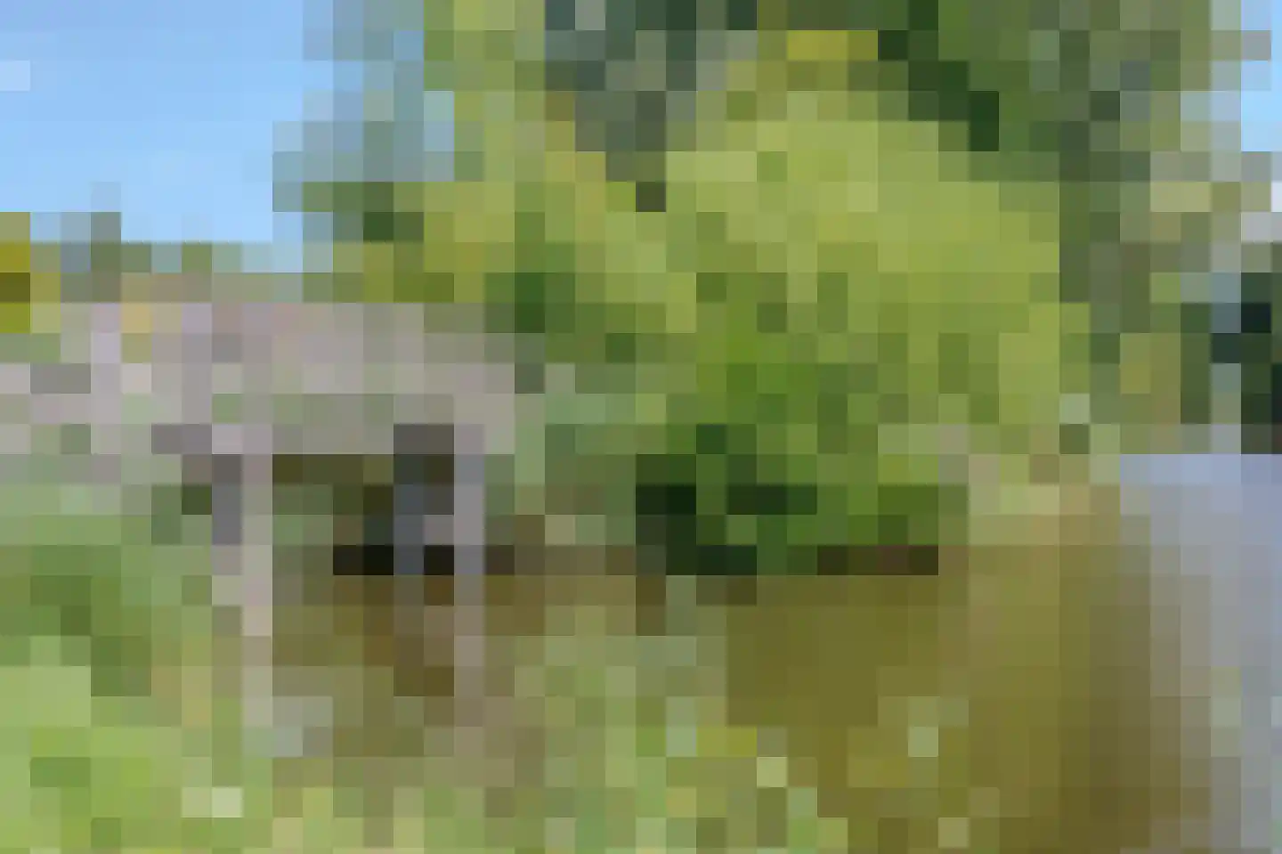 Stern 22 Broek op Langedijk thumbnail 53