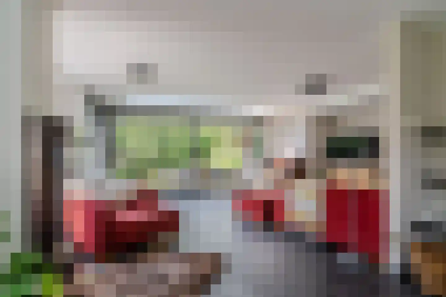 Stern 22 Broek op Langedijk thumbnail 7