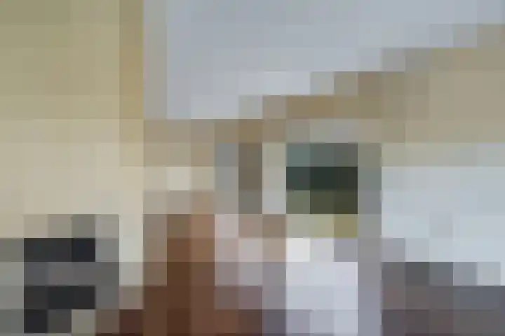 Stern 3 Blaricum thumbnail 10