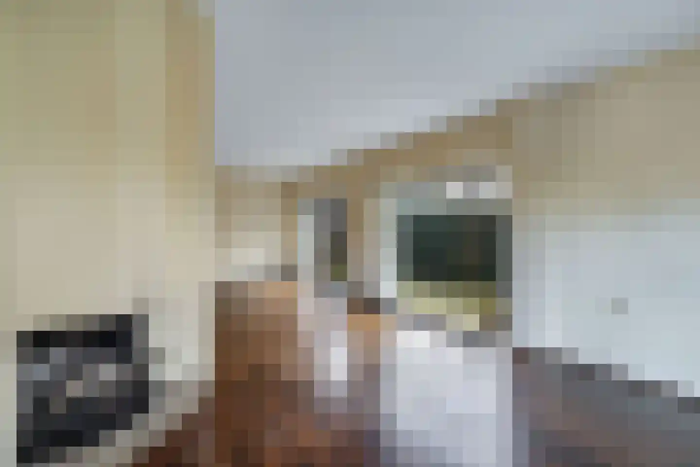 Stern 3 Blaricum thumbnail 10