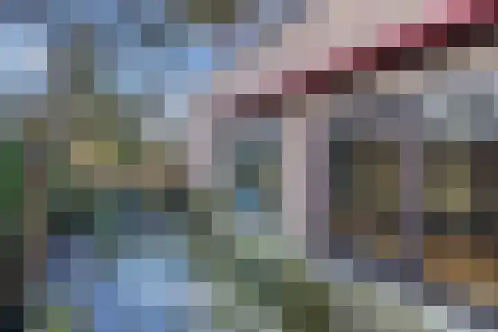 Stern 3 Blaricum thumbnail 16