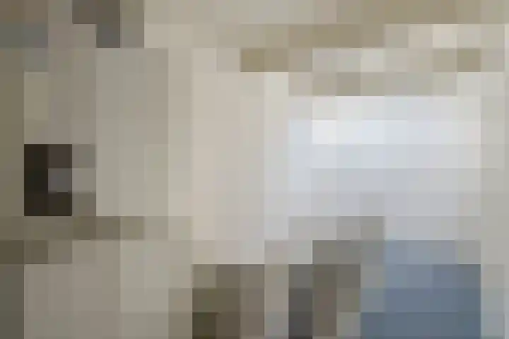 Stern 3 Blaricum thumbnail 31
