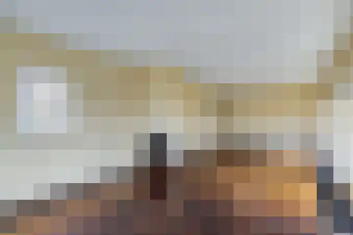 Stern 3 Blaricum thumbnail 8