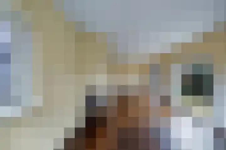 Stern 3 Blaricum thumbnail 9