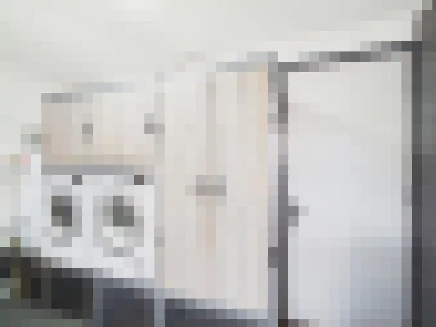 Stern 4 Terneuzen thumbnail 18