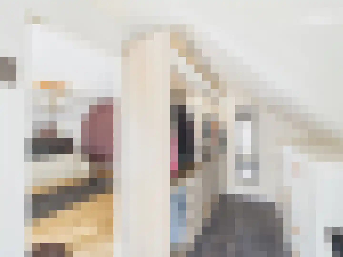 Stern 4 Terneuzen thumbnail 30