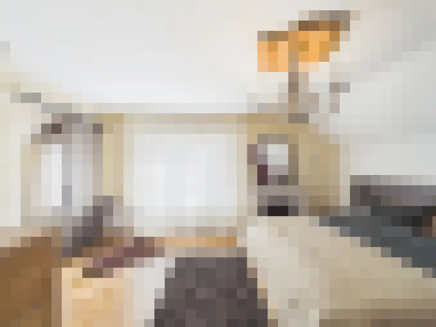 Stern 4 Terneuzen thumbnail 31
