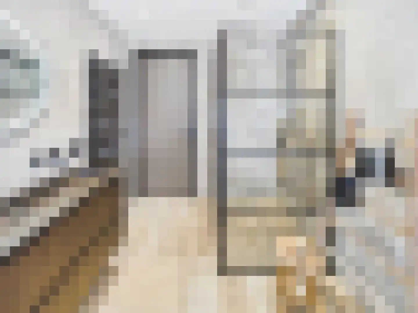 Stern 4 Terneuzen thumbnail 37