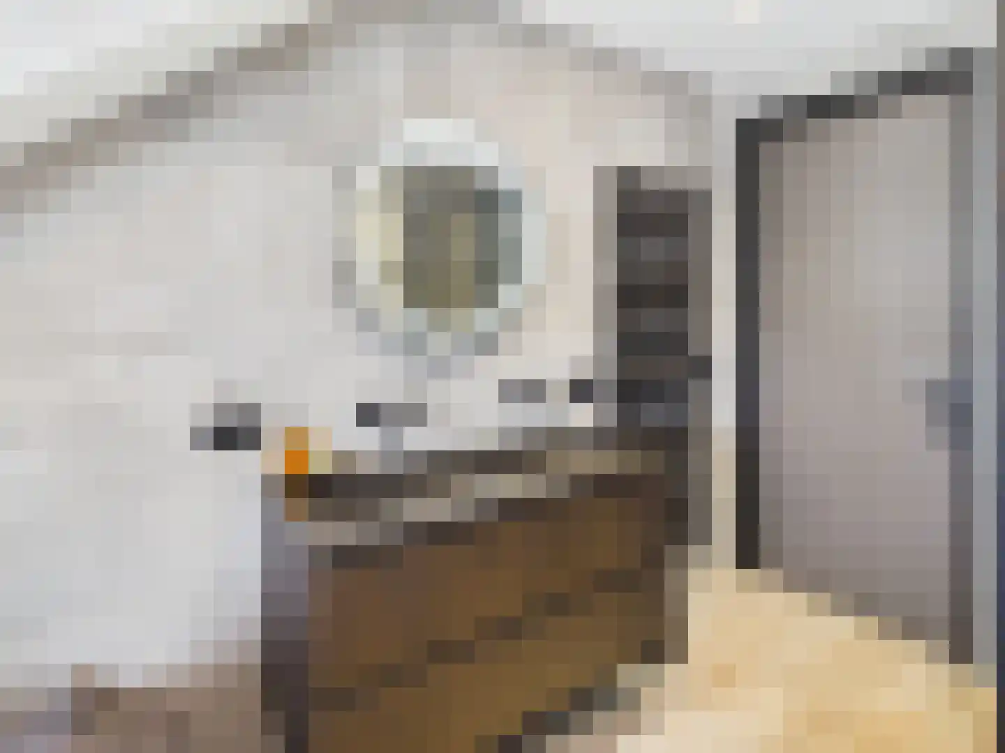 Stern 4 Terneuzen thumbnail 39