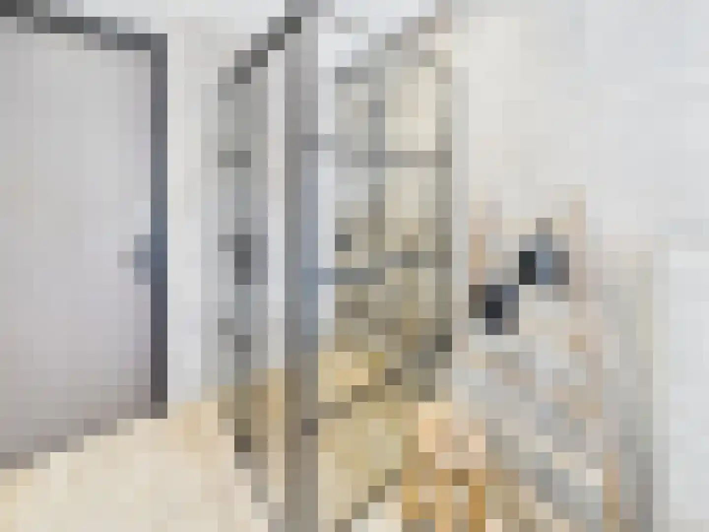 Stern 4 Terneuzen thumbnail 40