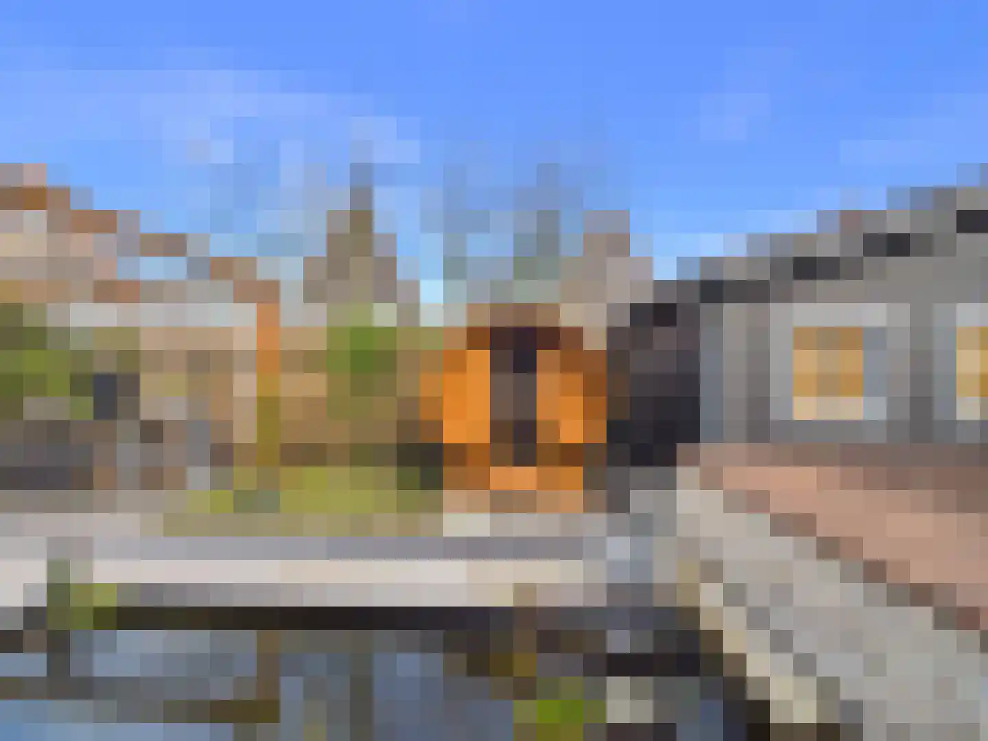 Stern 4 Terneuzen thumbnail 42