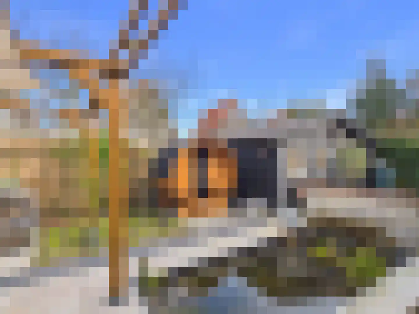 Stern 4 Terneuzen thumbnail 44