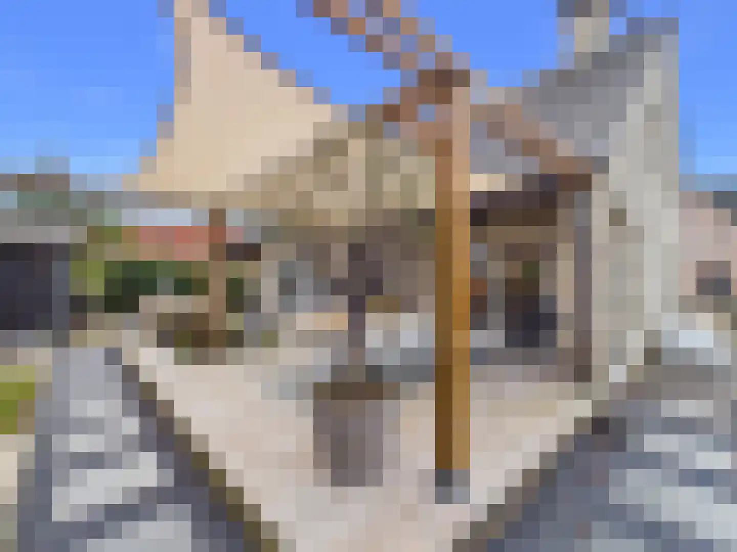 Stern 4 Terneuzen thumbnail 50