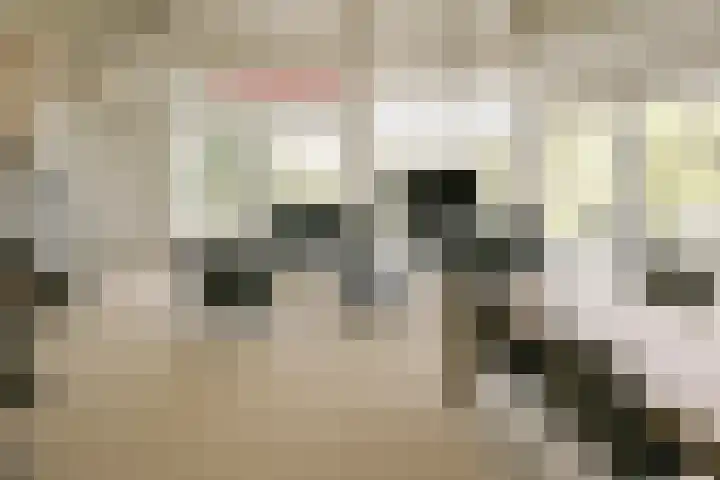 Stern 5 Zoutelande thumbnail 12