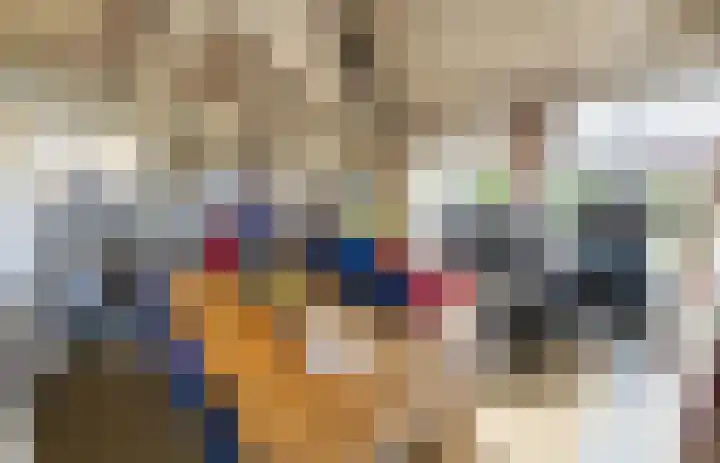 Stern 5 Zoutelande thumbnail 13