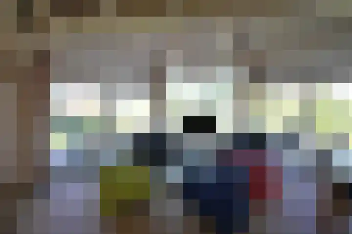 Stern 5 Zoutelande thumbnail 14