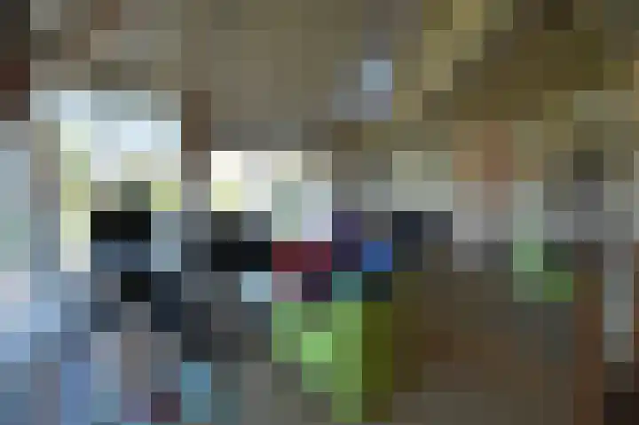 Stern 5 Zoutelande thumbnail 15