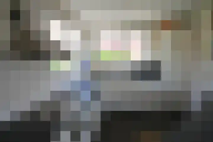 Stern 5 Zoutelande thumbnail 17