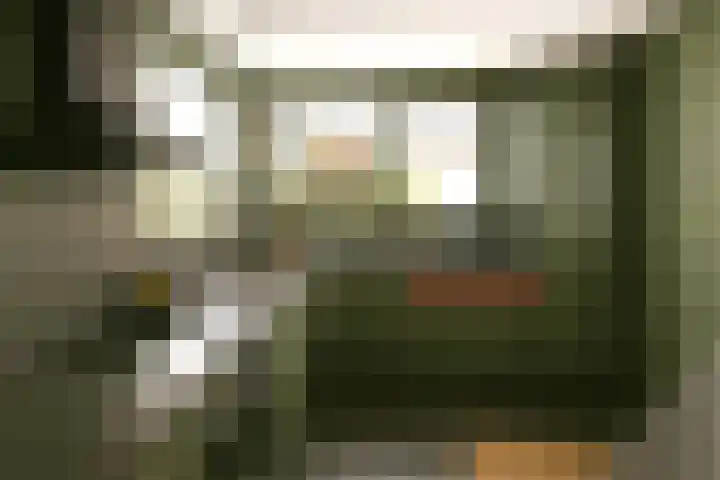 Stern 5 Zoutelande thumbnail 18